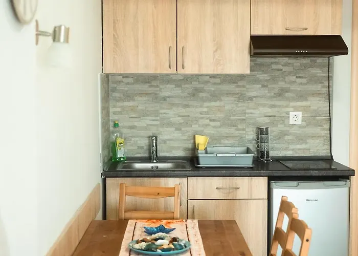 Aktis Sea View Apartament *